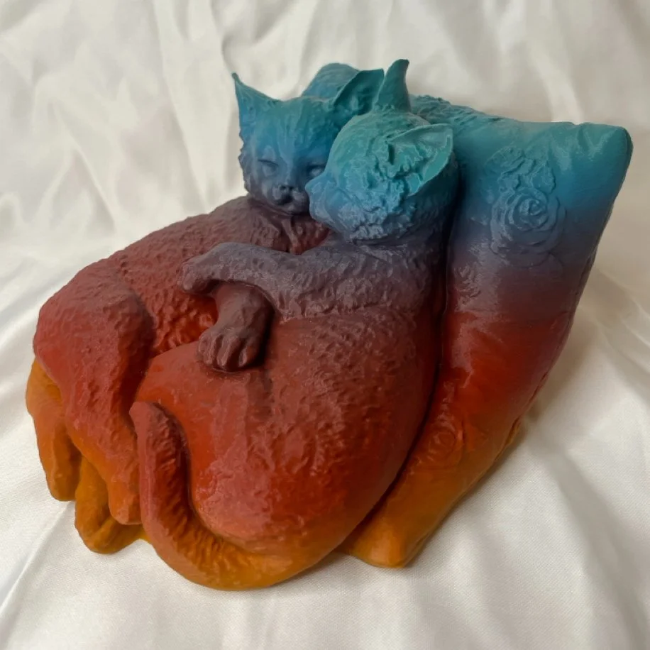 Uyuyan Kedi